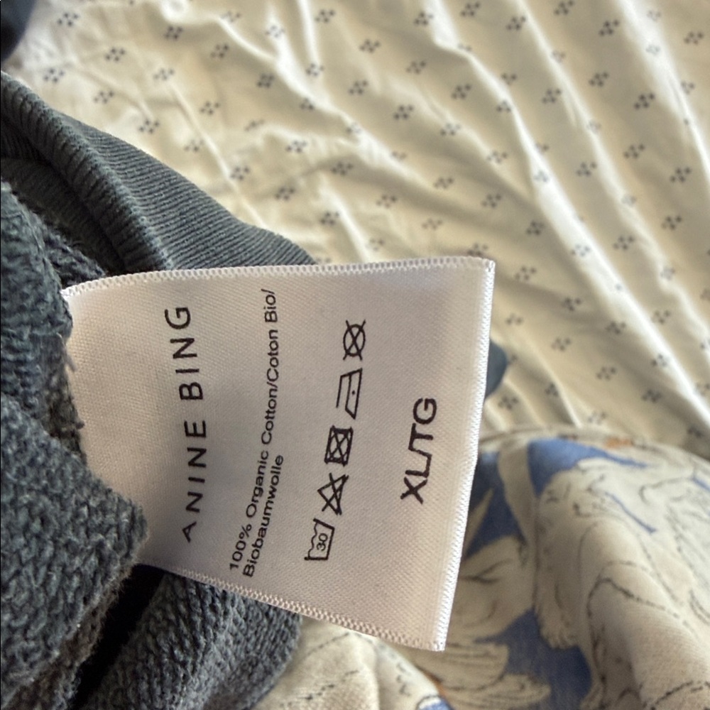 Anine Bing Charcoal Sweatshirt with Eagle and Red Text - Picture 3 of 8